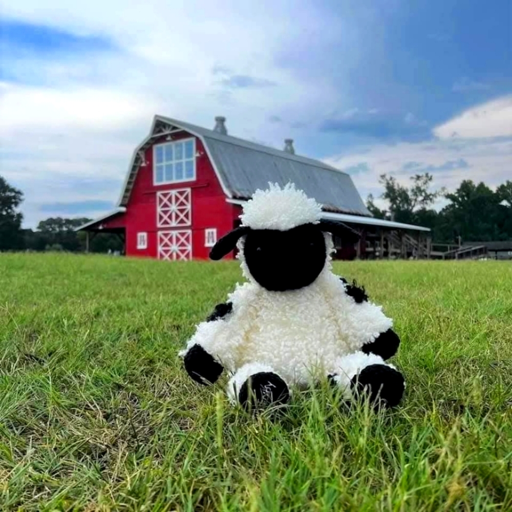 Valley The Valais Sheep Scentsy Buddy With Scent Pack. New In Box
